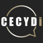 logo cecydi agence de branding